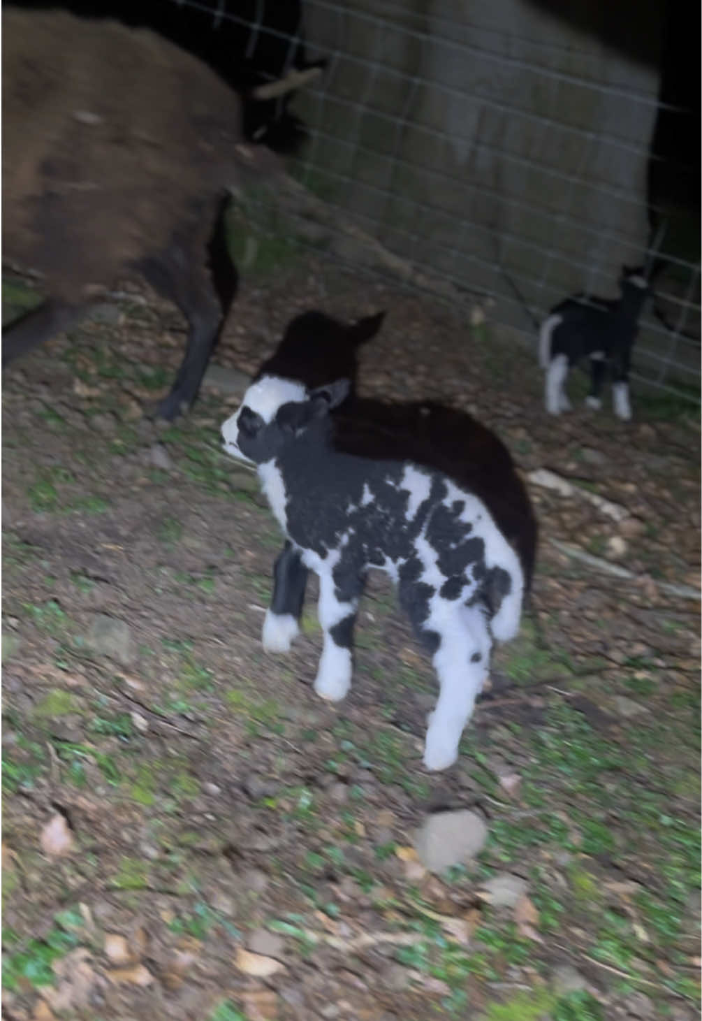 @Up on the ranch