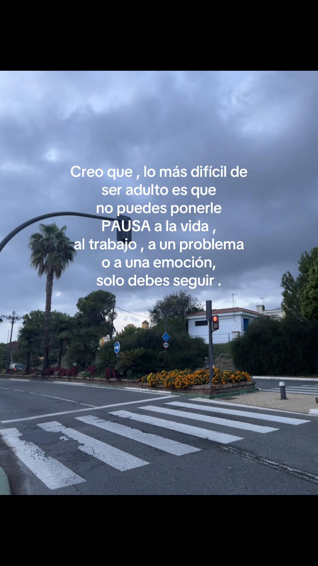 @Daniela  Ruiz