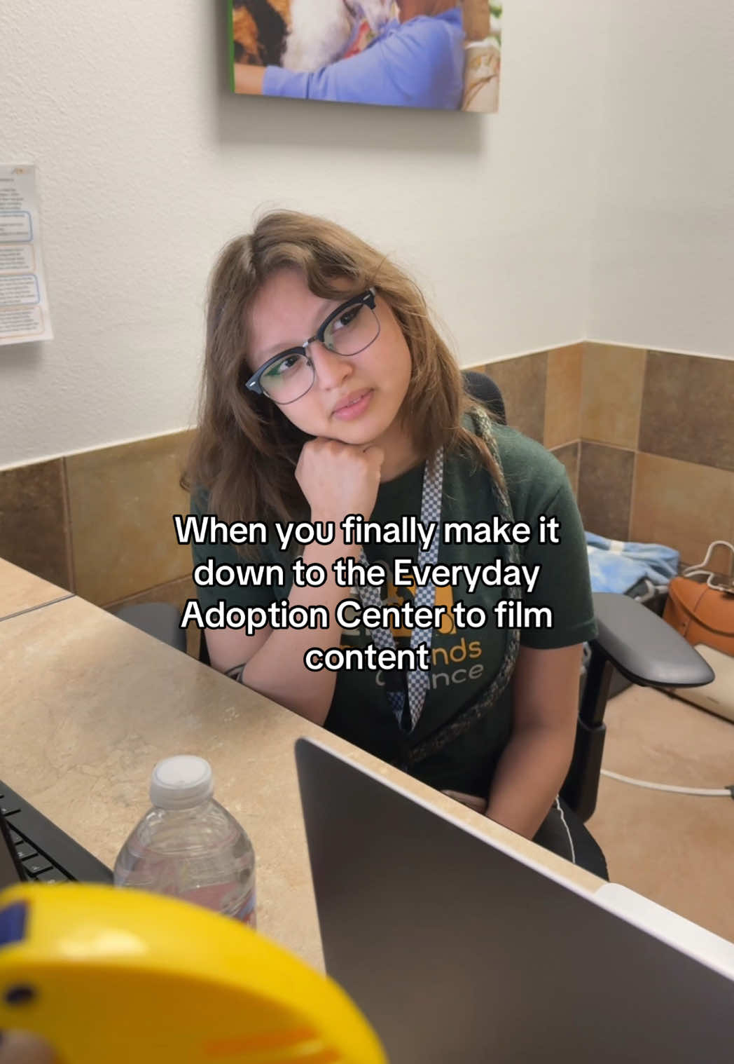 @Animal Friends Alliance