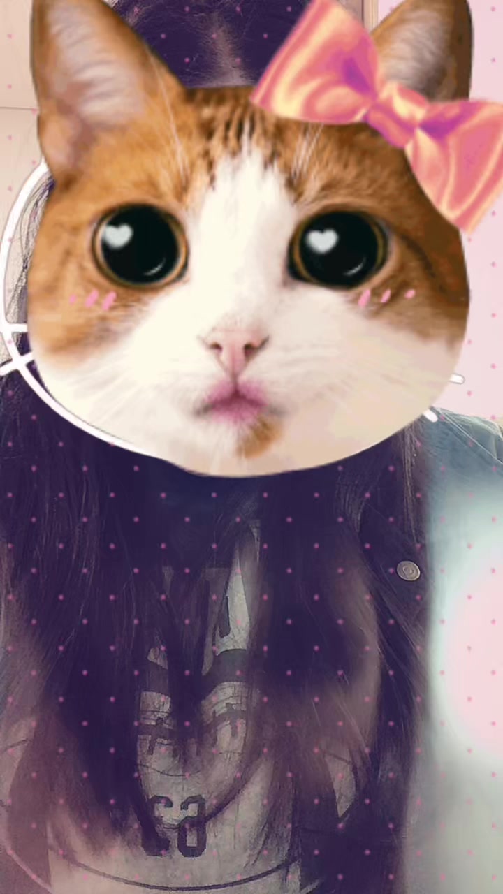 @빵순이