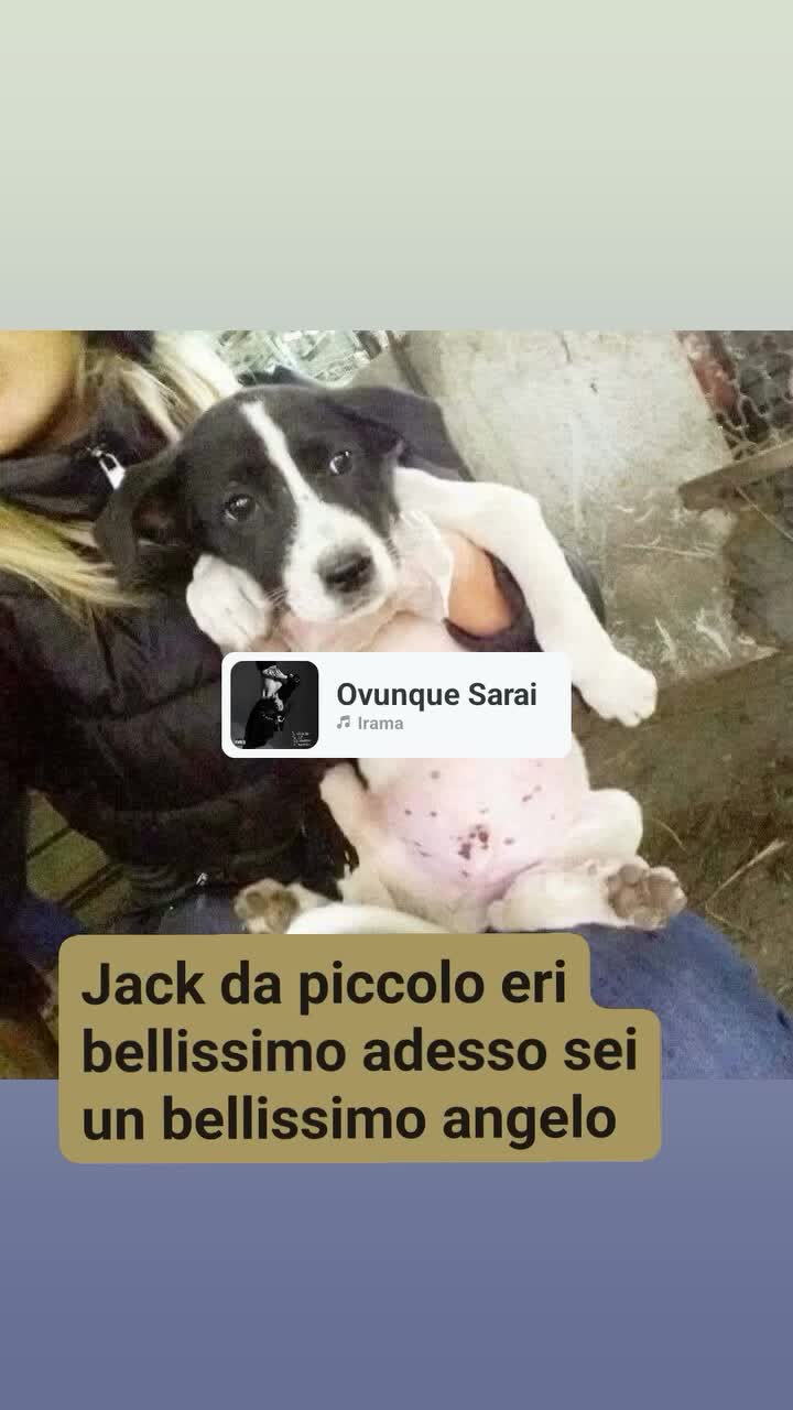 @Francesca Sciurti