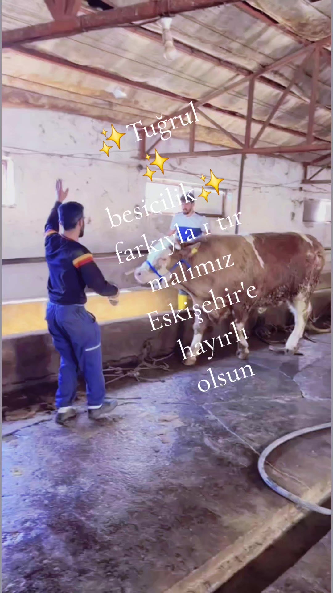 @Mehmet Yal&ccedil;ın Tuğrul