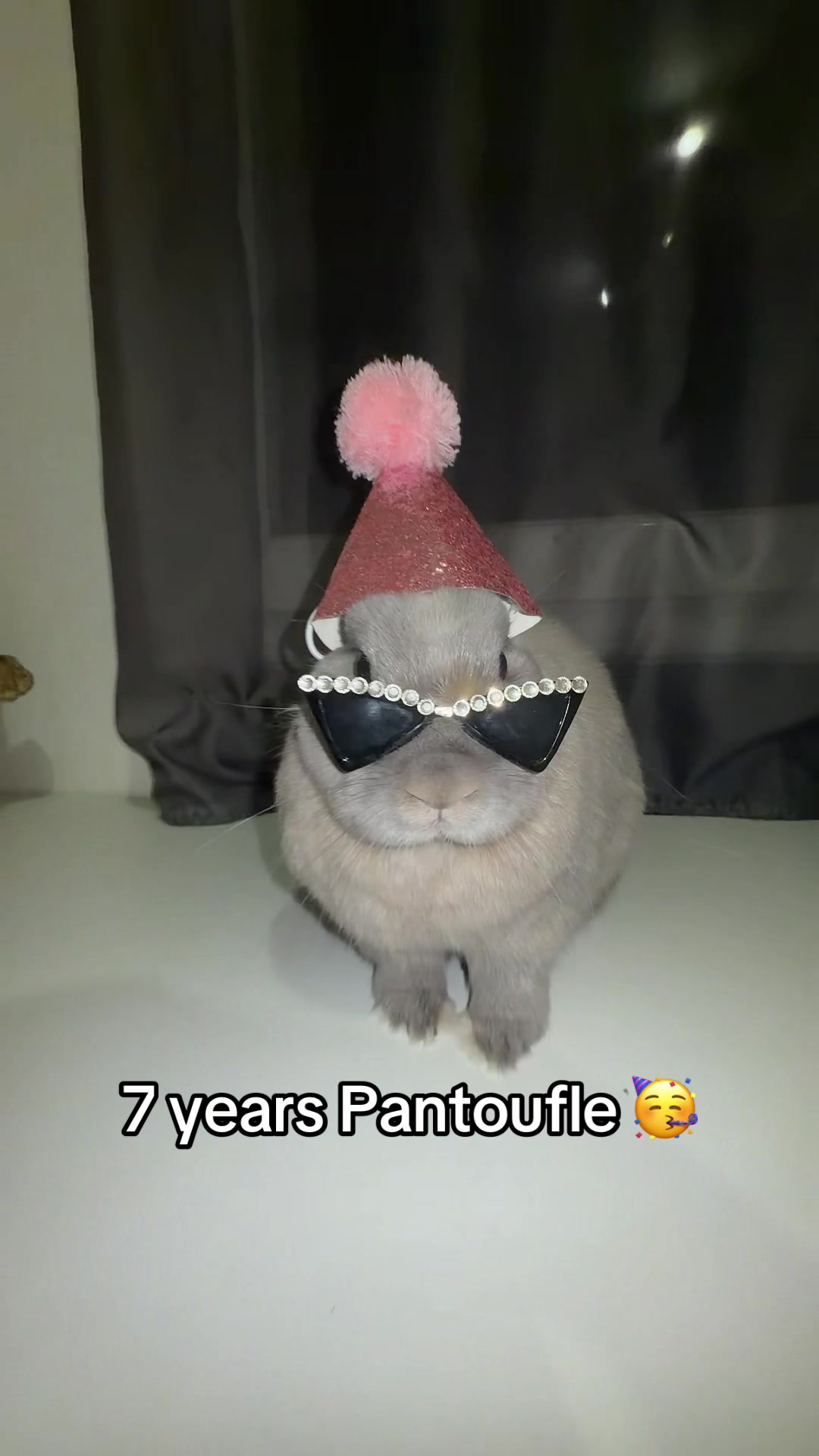 @PantoufleLapin