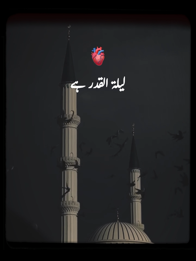 @𓆩PeaceWithin islam𓆪