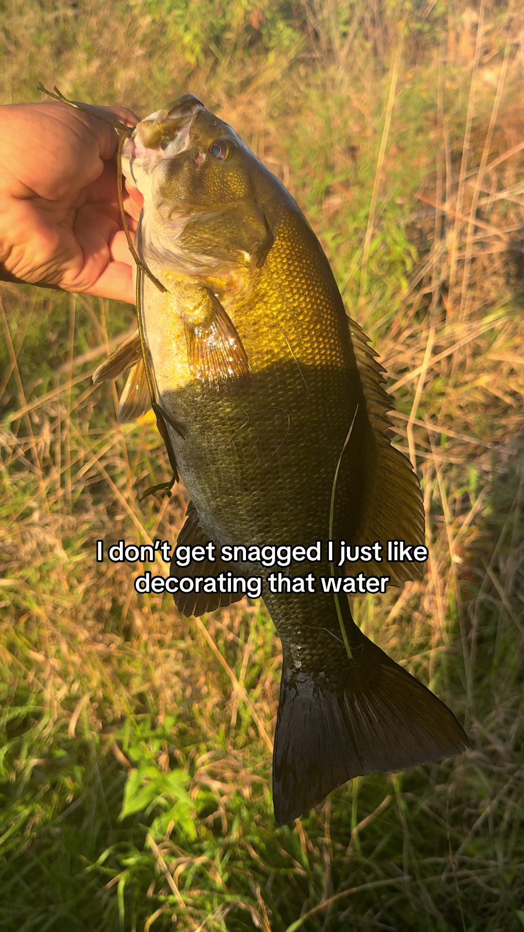 @218 fishing