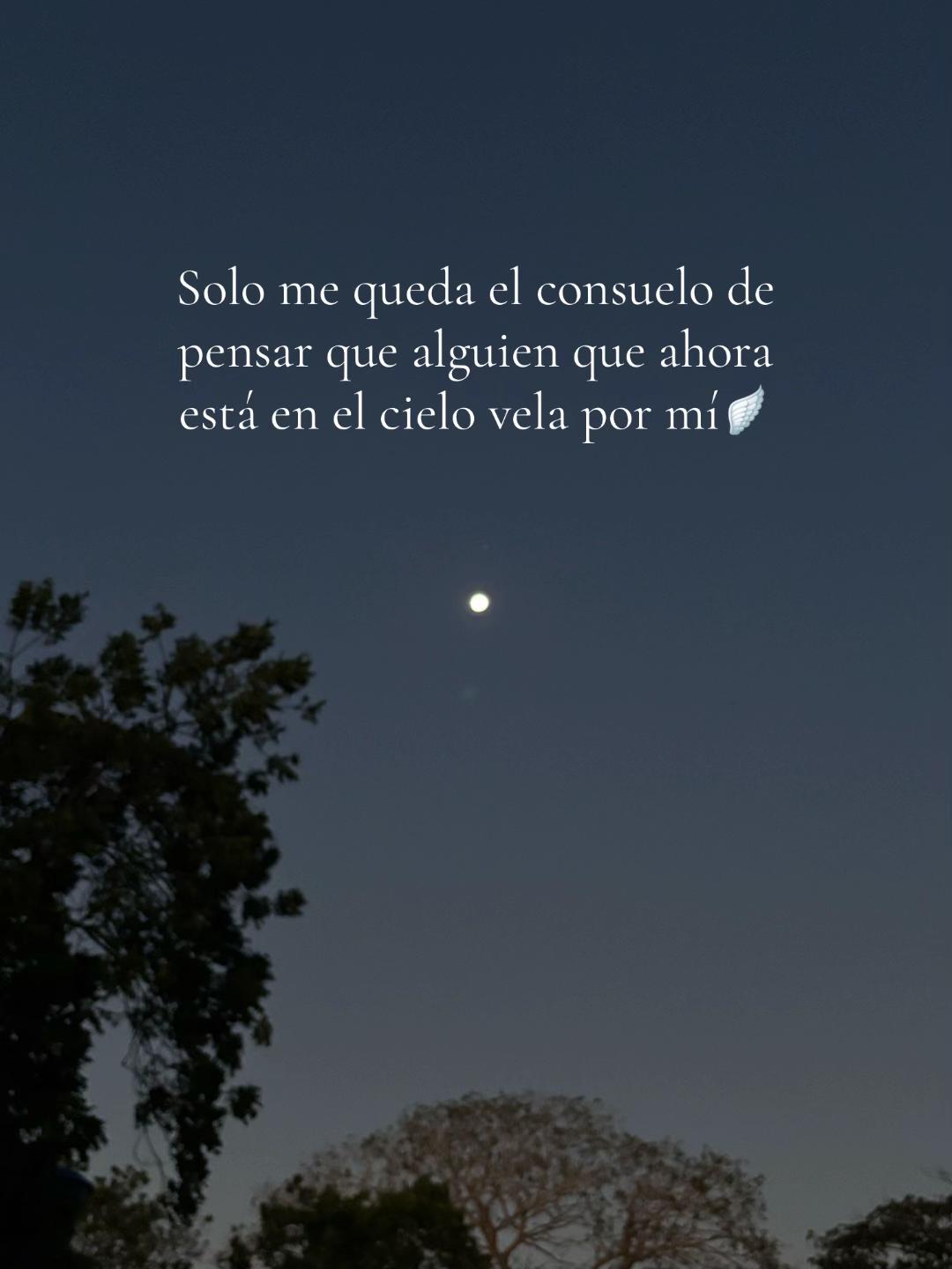 @Carmencita 🕊️🤍