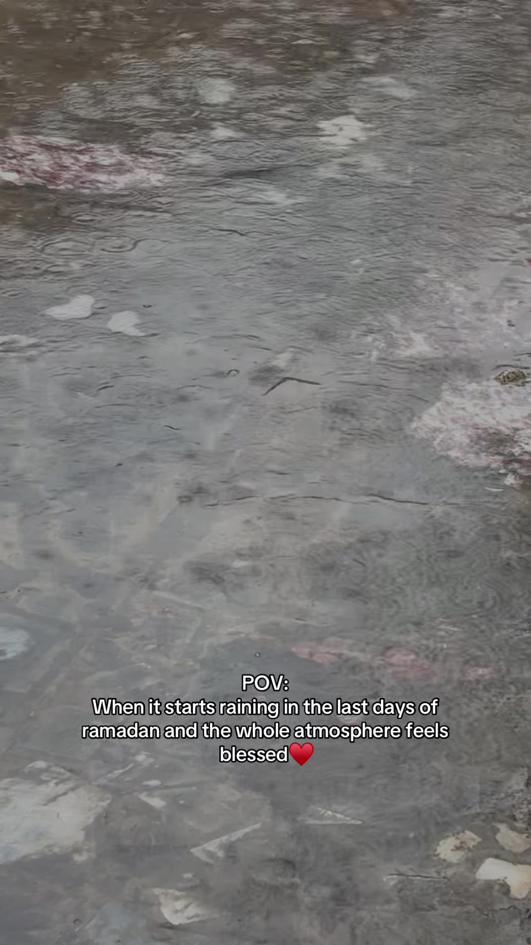 @𝘼&bull;🦢