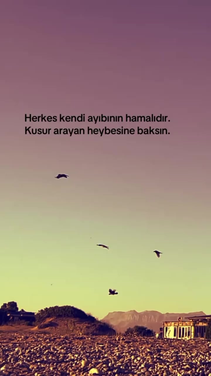 @mavig&ouml;l