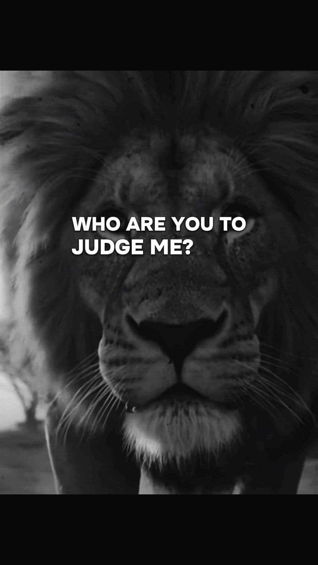 @Lion@Mind