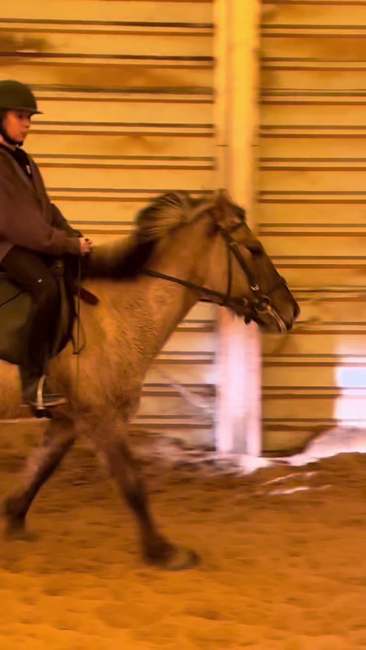 @😻🐴Eq._.N🐴😻