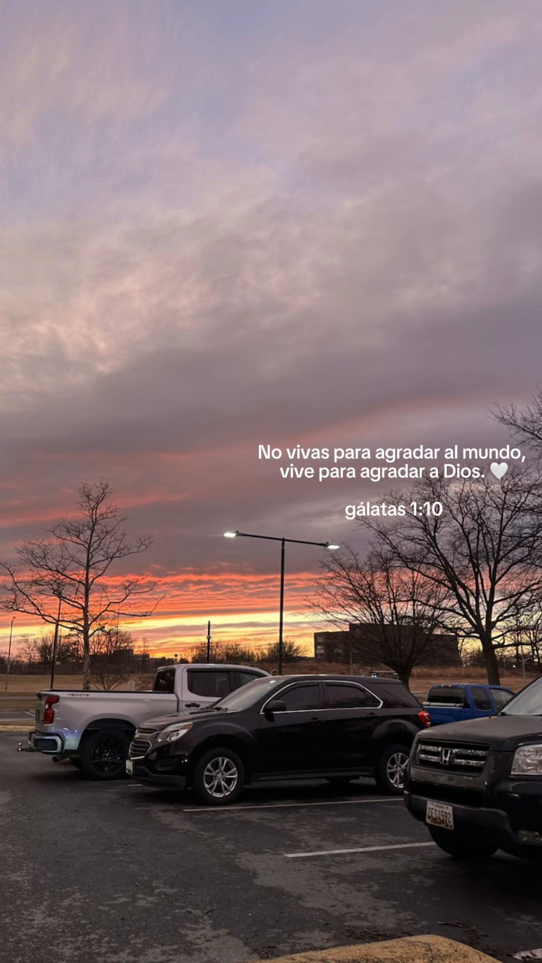 @ɴɪᴄᴏʟᴇ ᥫ᭡.