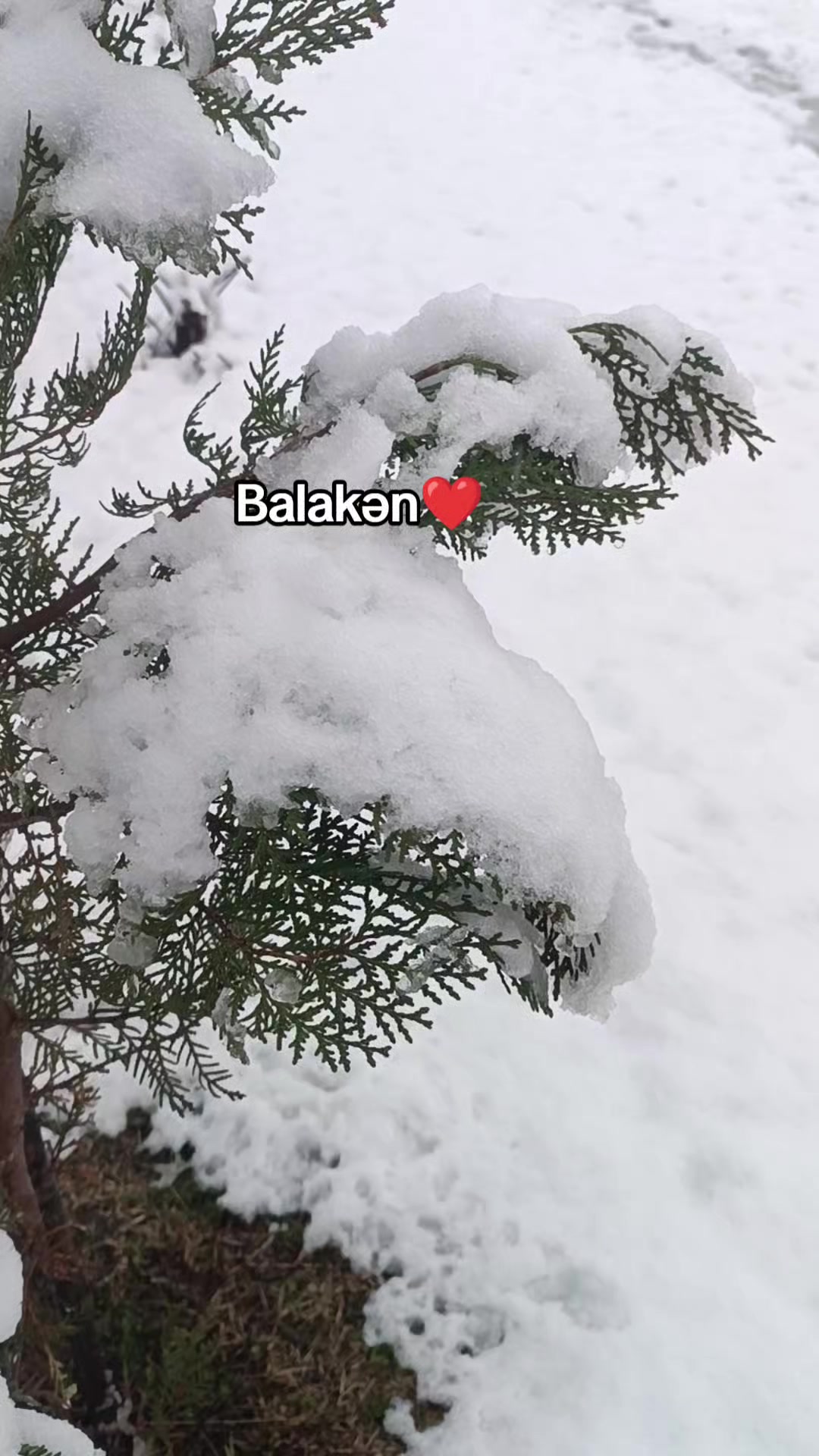 @G&uuml;ni✨