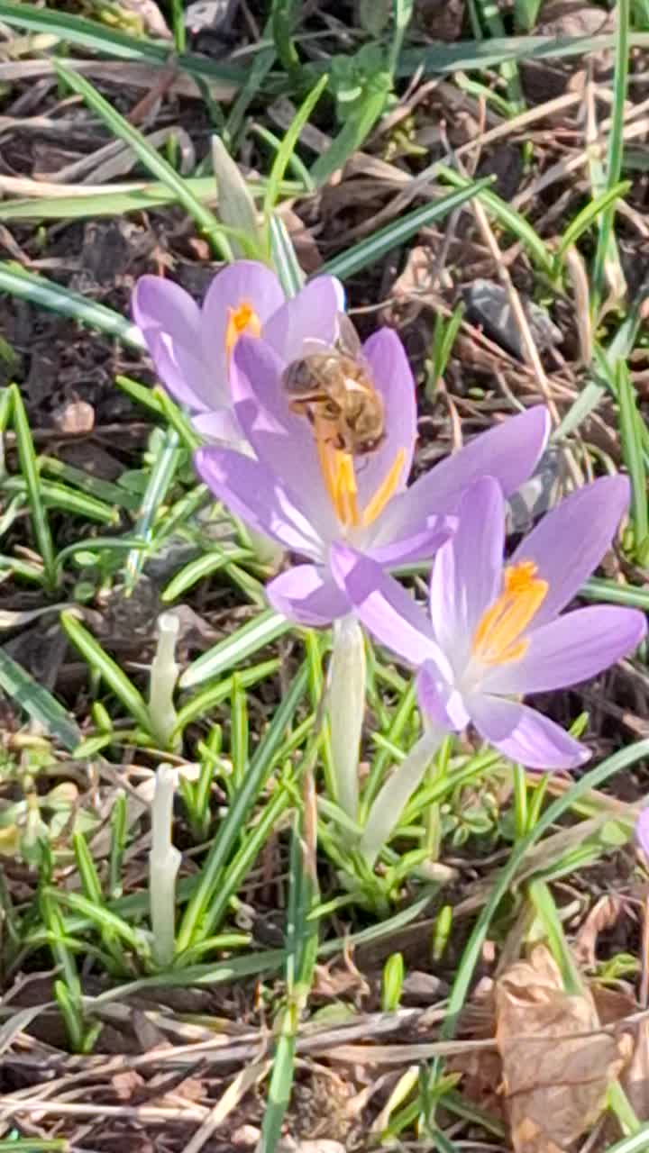 @Natur und Garten