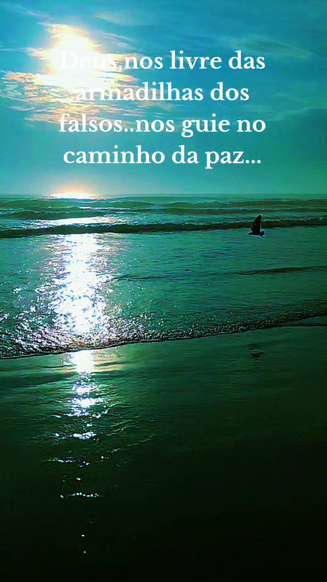 @Sonia cordeiro