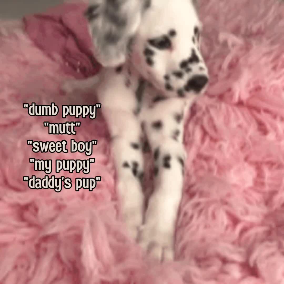 @,, phillip ᵎᵎ ᯓ | 📜