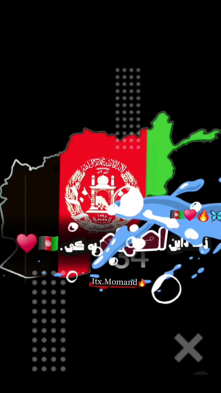 @nasirsherzad985