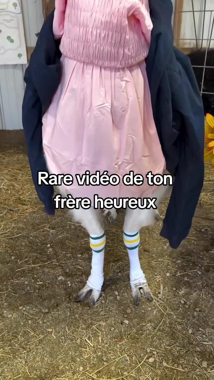@FouRireAnimal
