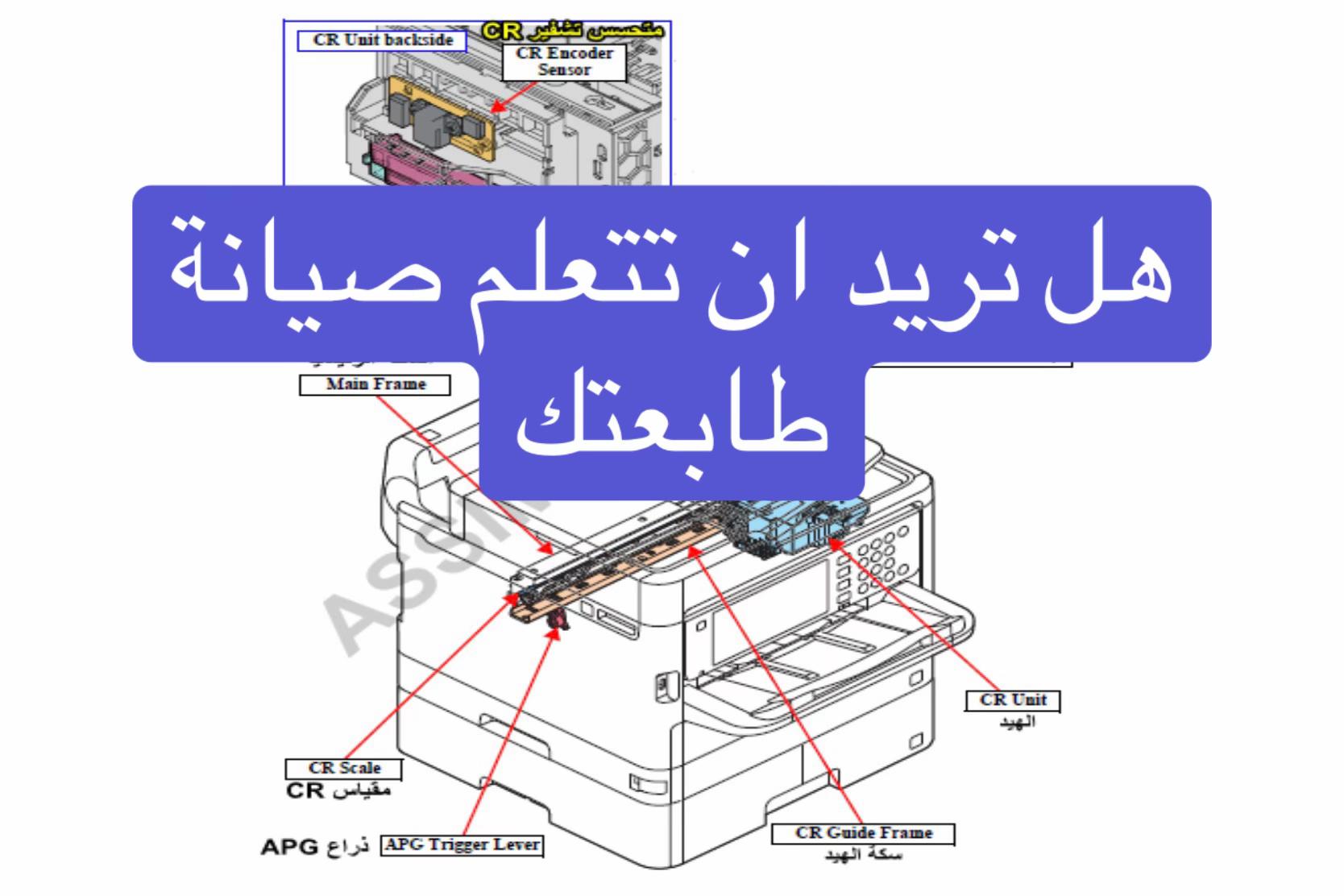 @ASSIM ABED