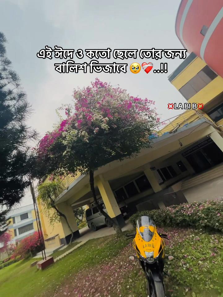 @💢LA BI B💢