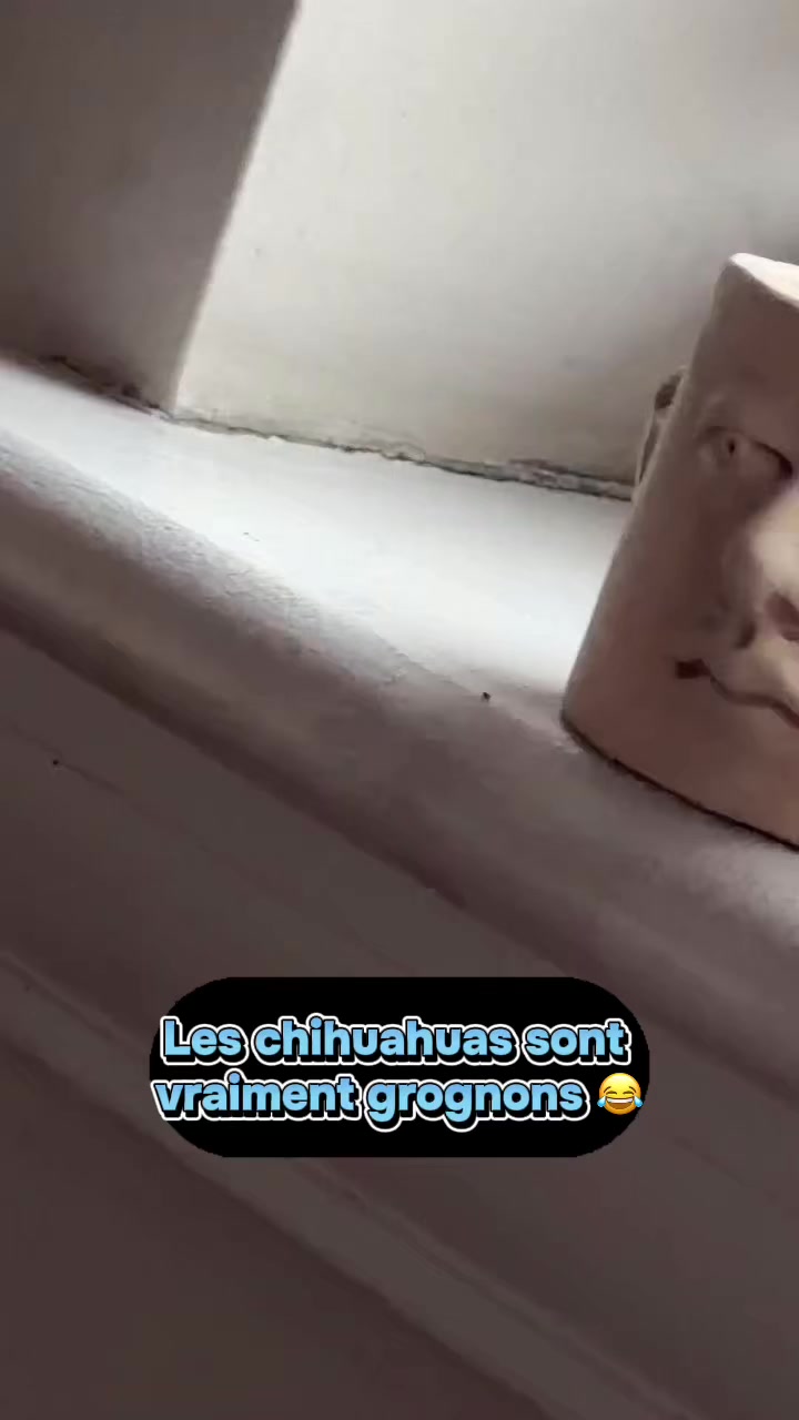 @💙⚜️ Dr&ocirc;le Qc ⚜️💙
