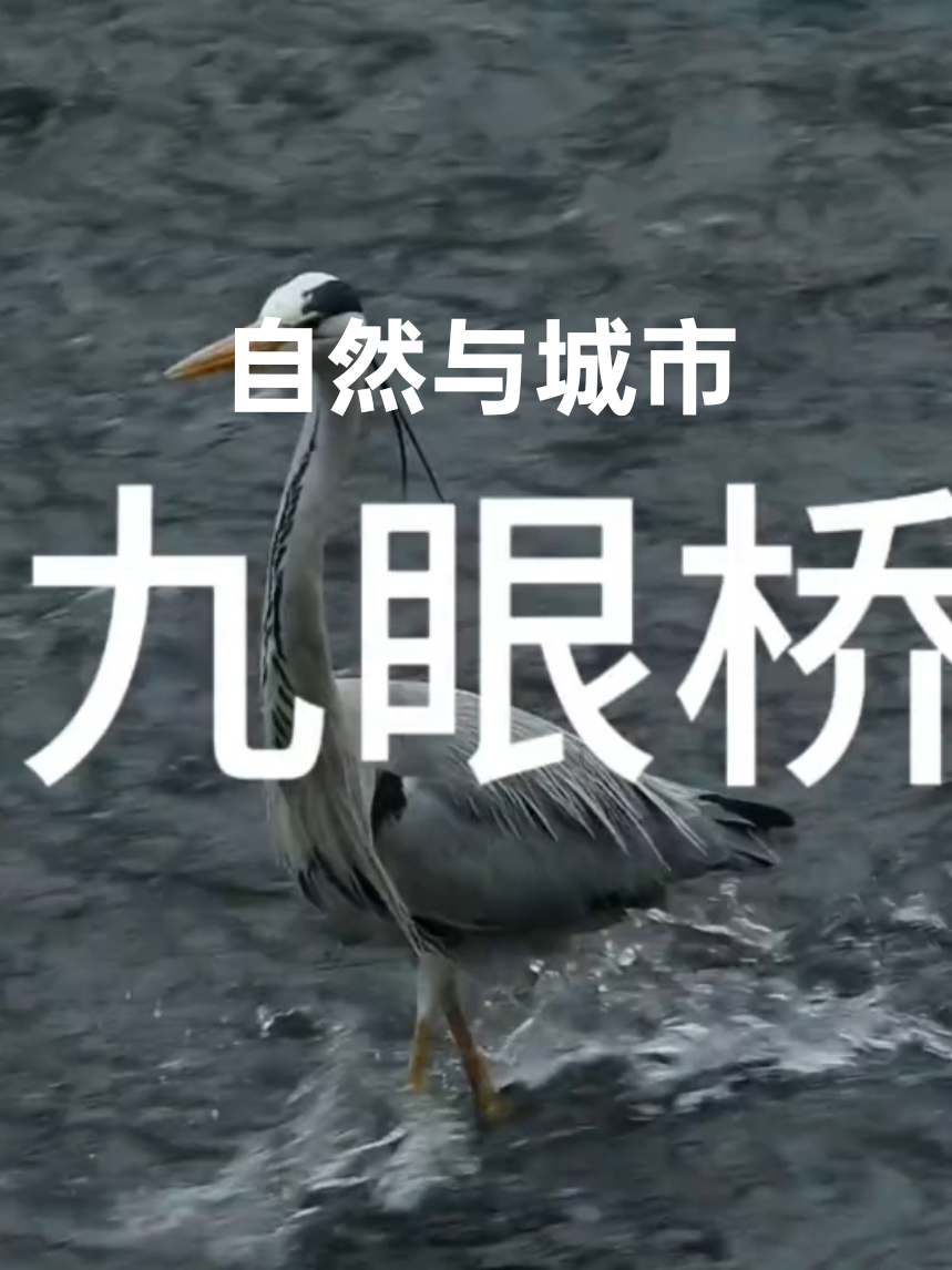 @𝙏𝙧𝙪𝙣𝙜&middot;中𝘾𝙝𝙞𝙣𝙖🇨🇳