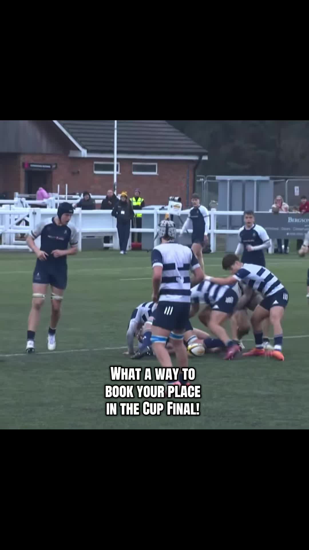 @young_rugby