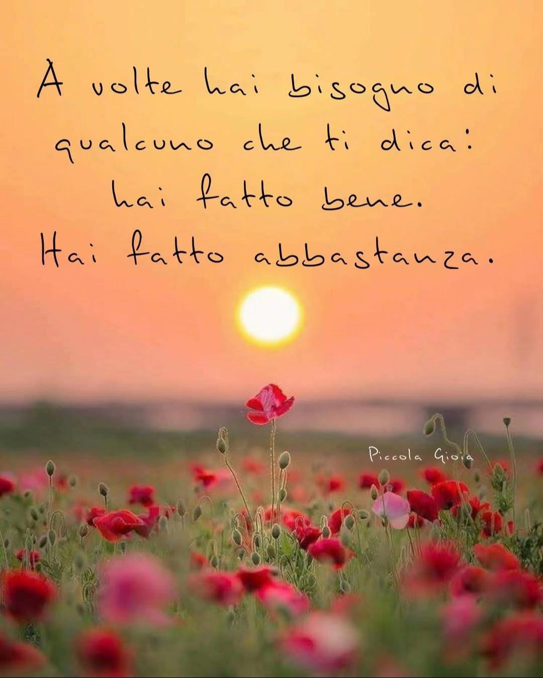 @🌷 Anita 🌷