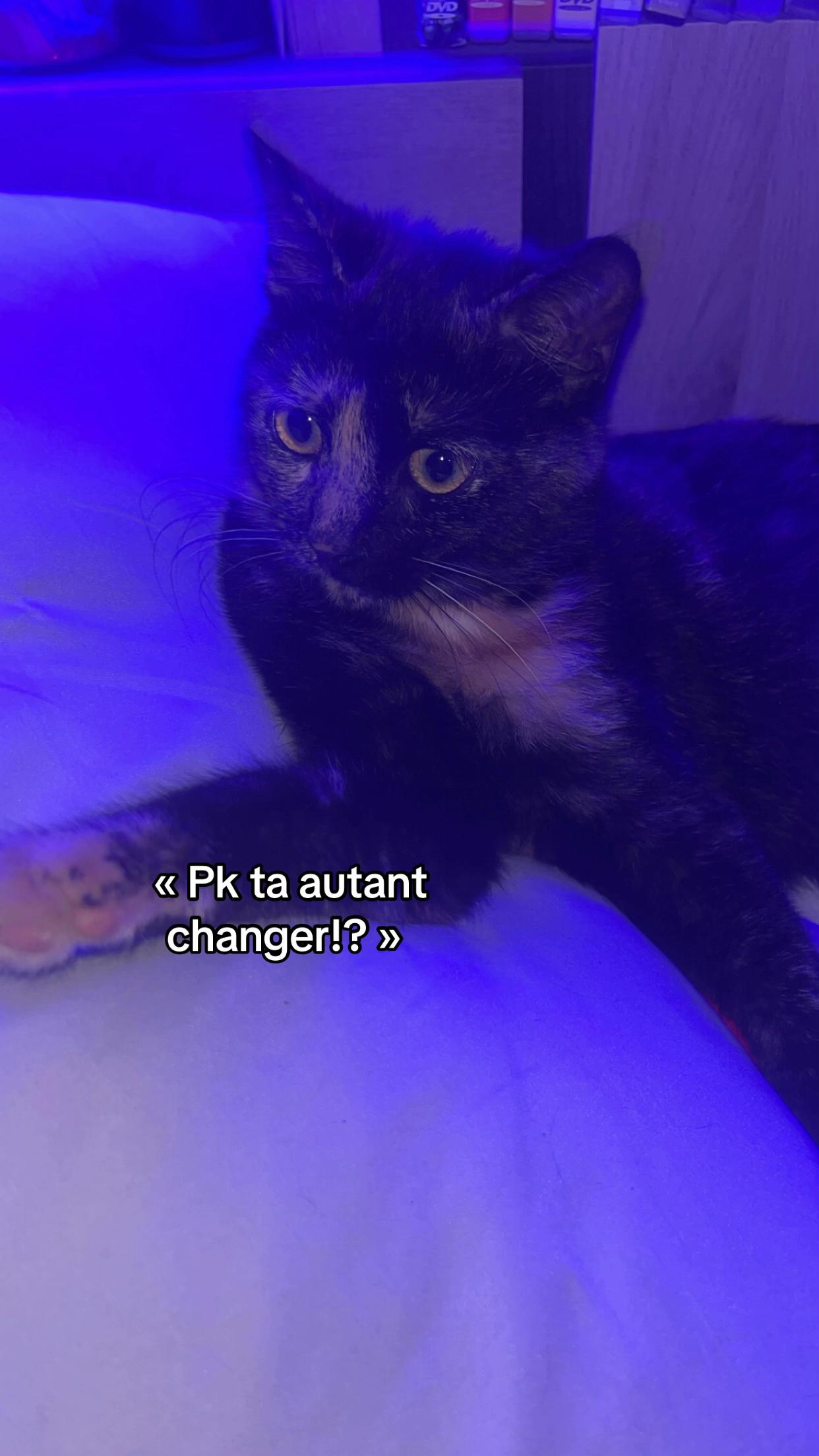 @𝐊𝐚.𝐥𝐲𝐚𝐚🌺