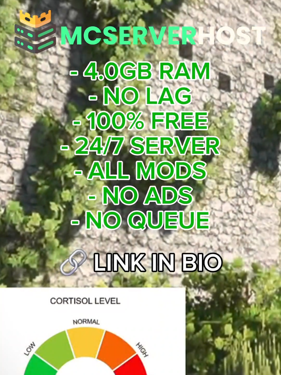 @MCServerHost