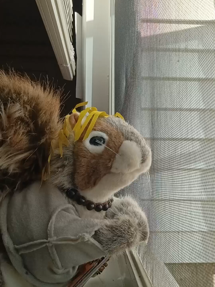 @Charles_TheSquirrel