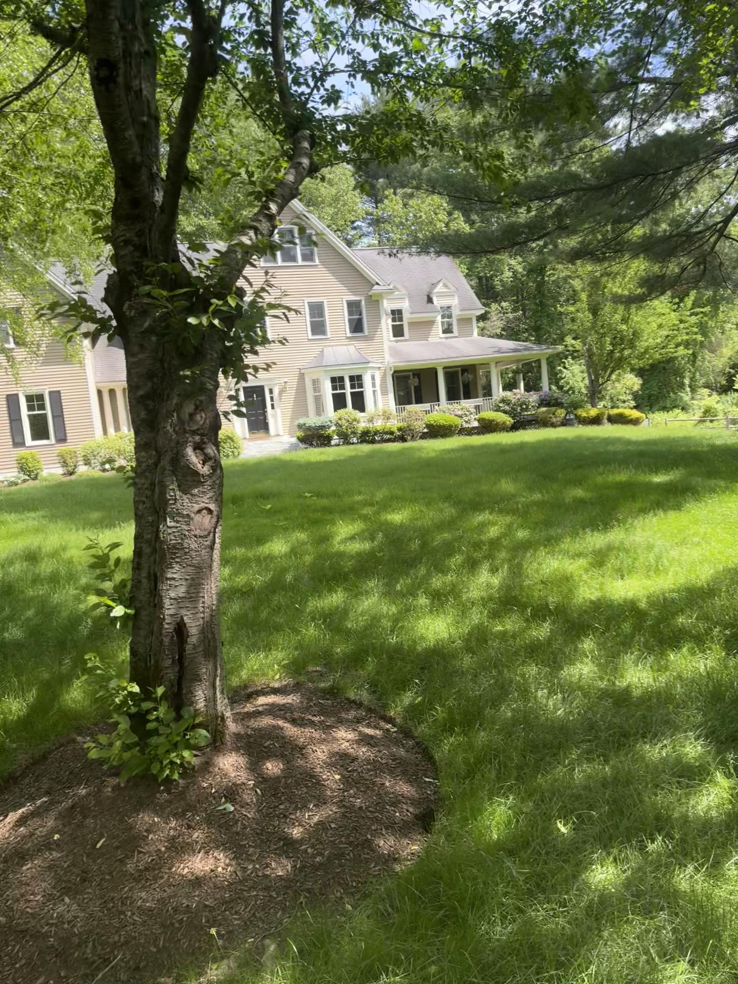 @Prestige landscaping ☘️🍃