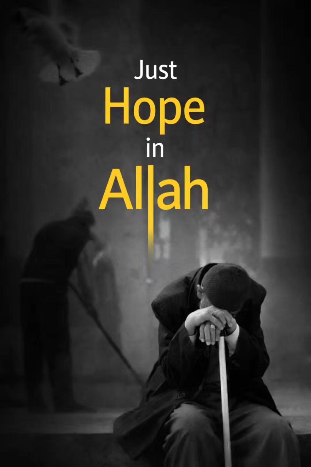 @TheLightOfHolyQuran