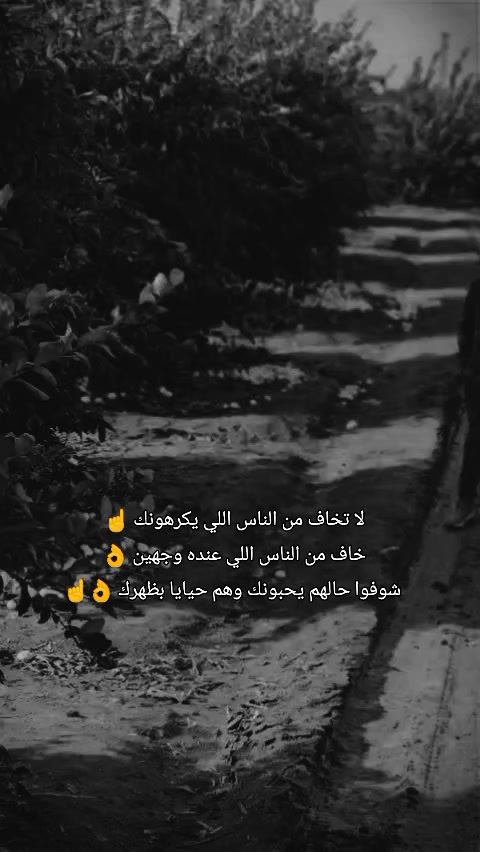 @🍃Seyit_01,🍃