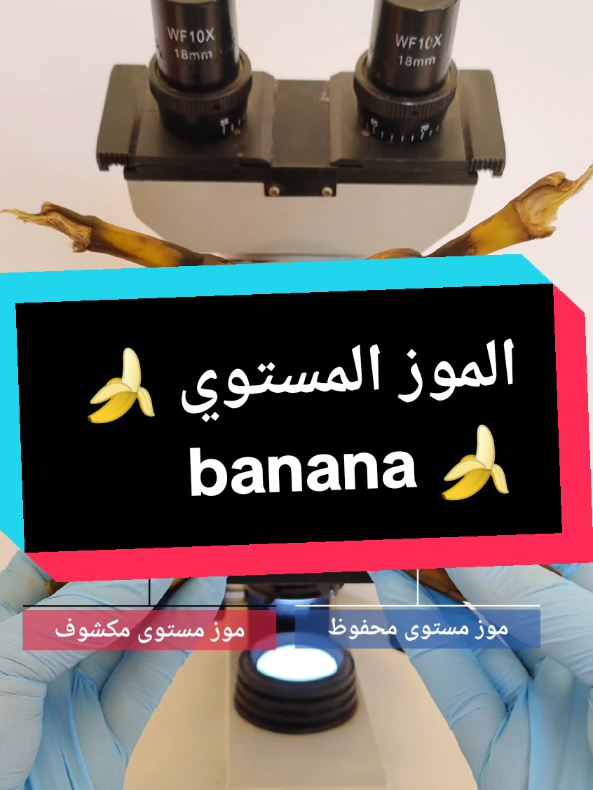 @AONE | Abdullah Sultan