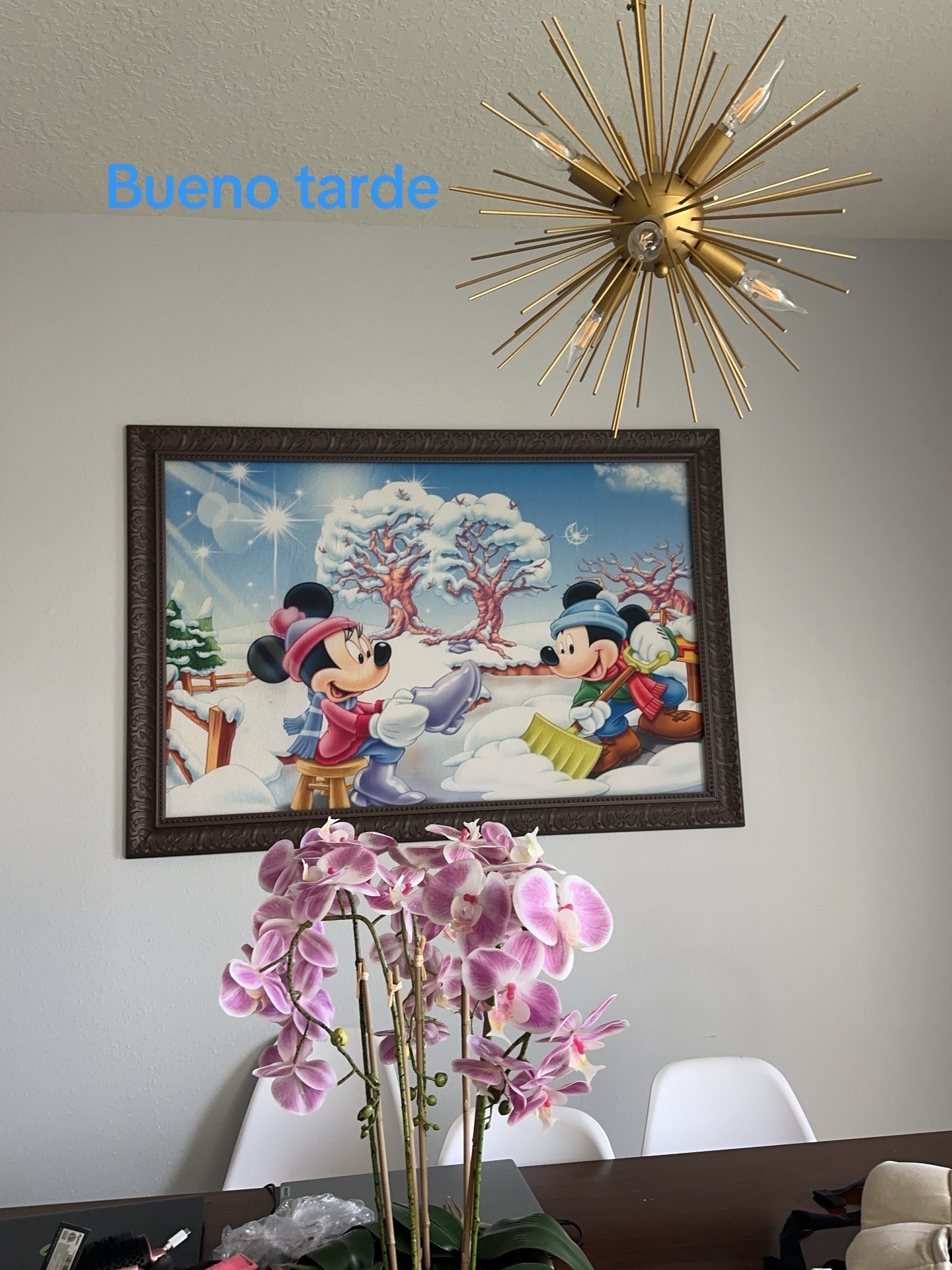 @carolicorniel6