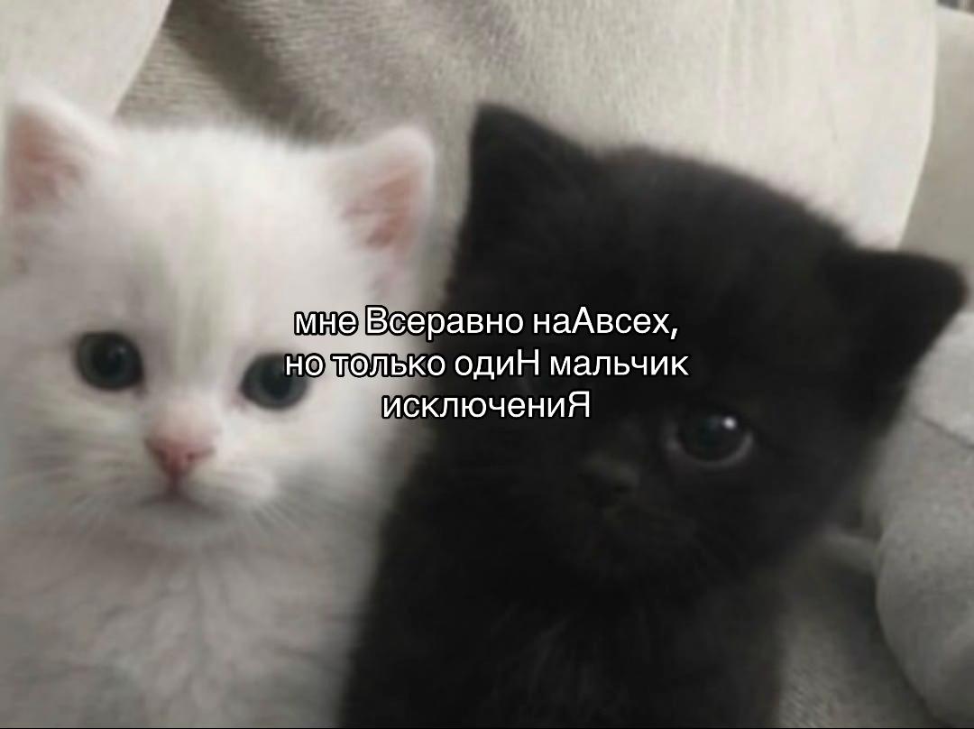 @люблю ванюю
