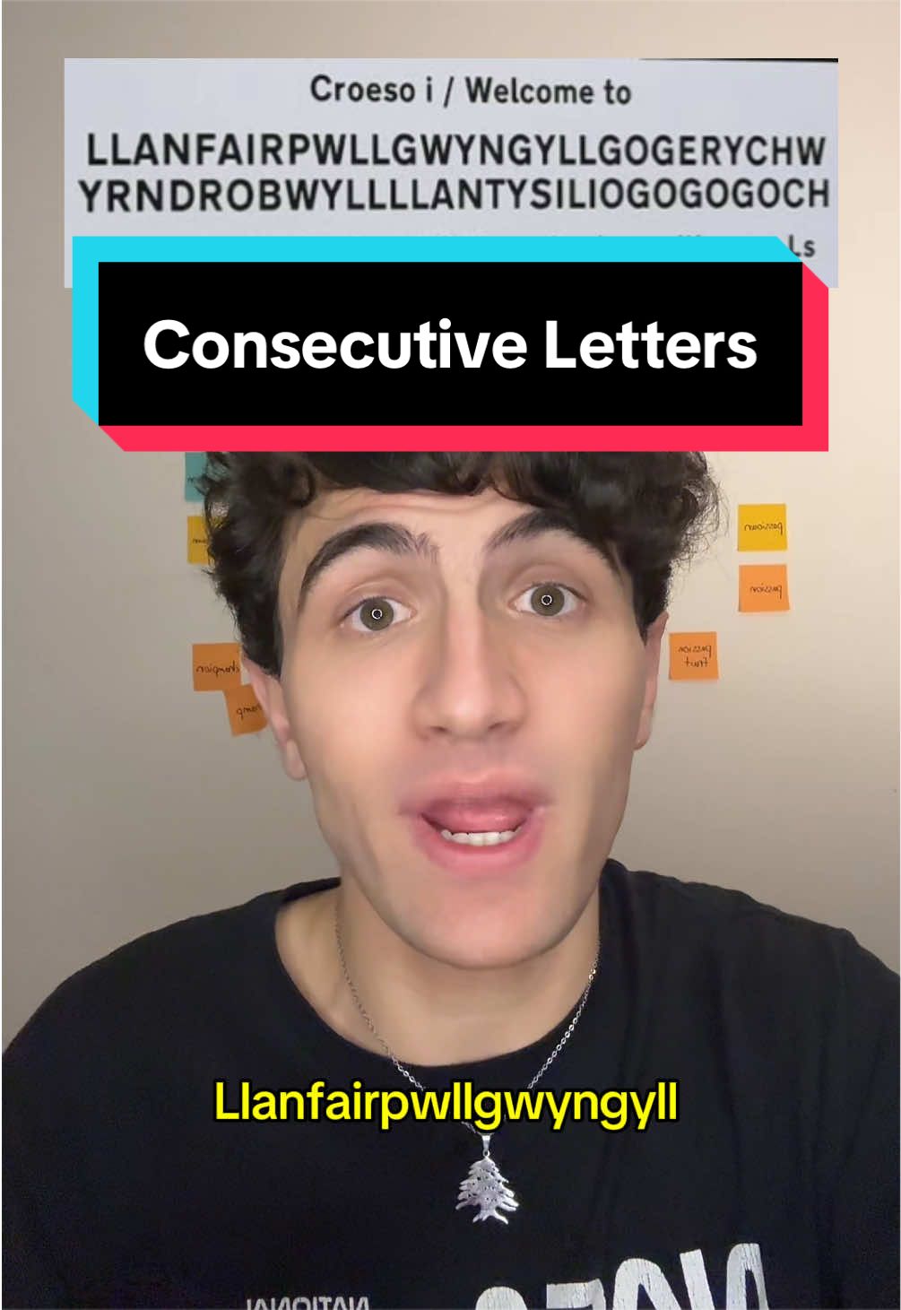 @human1011