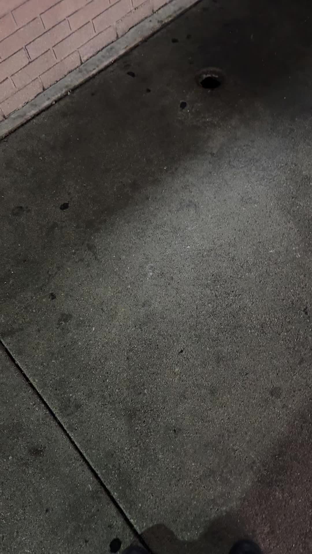 @whotfisjidion
