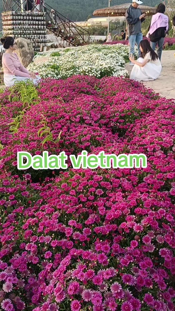@Sapphire BaltazaR🇵🇭🇻🇳