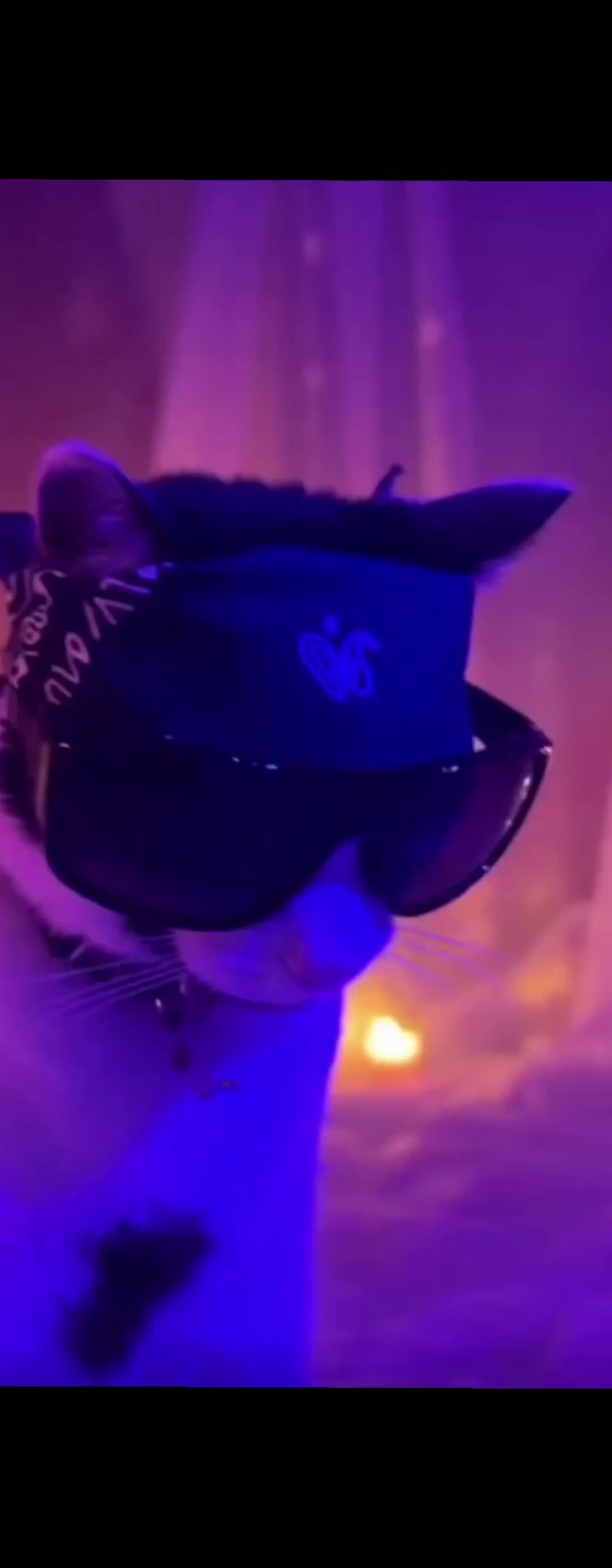 @THUGxedo Cat
