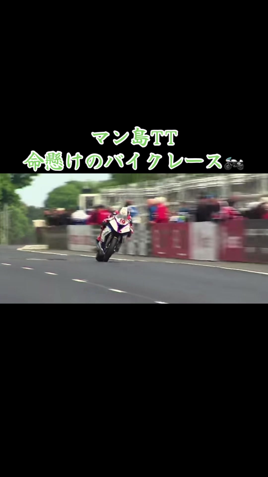 @🫛マメ吉🫛