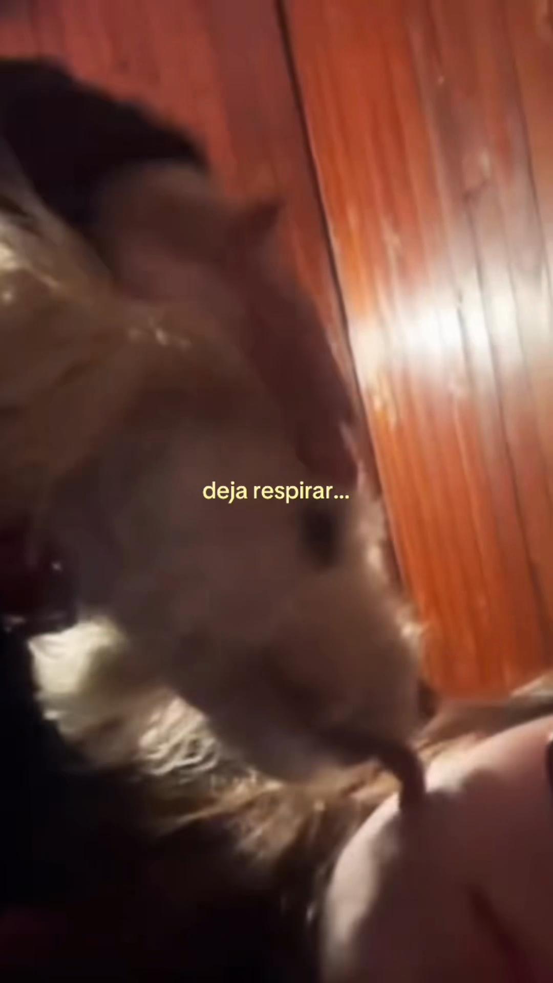 @🏹