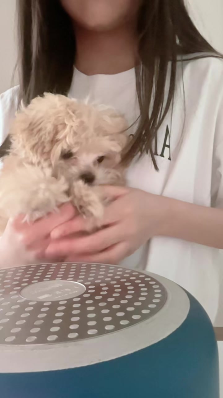 @우웅