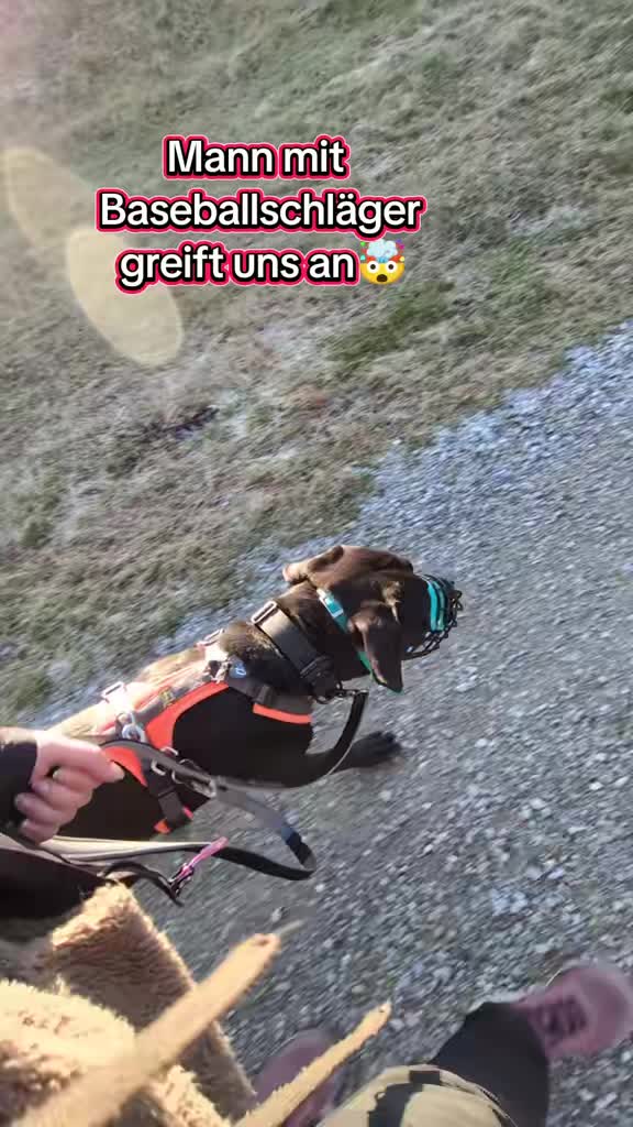 @hundumgluecklichx4