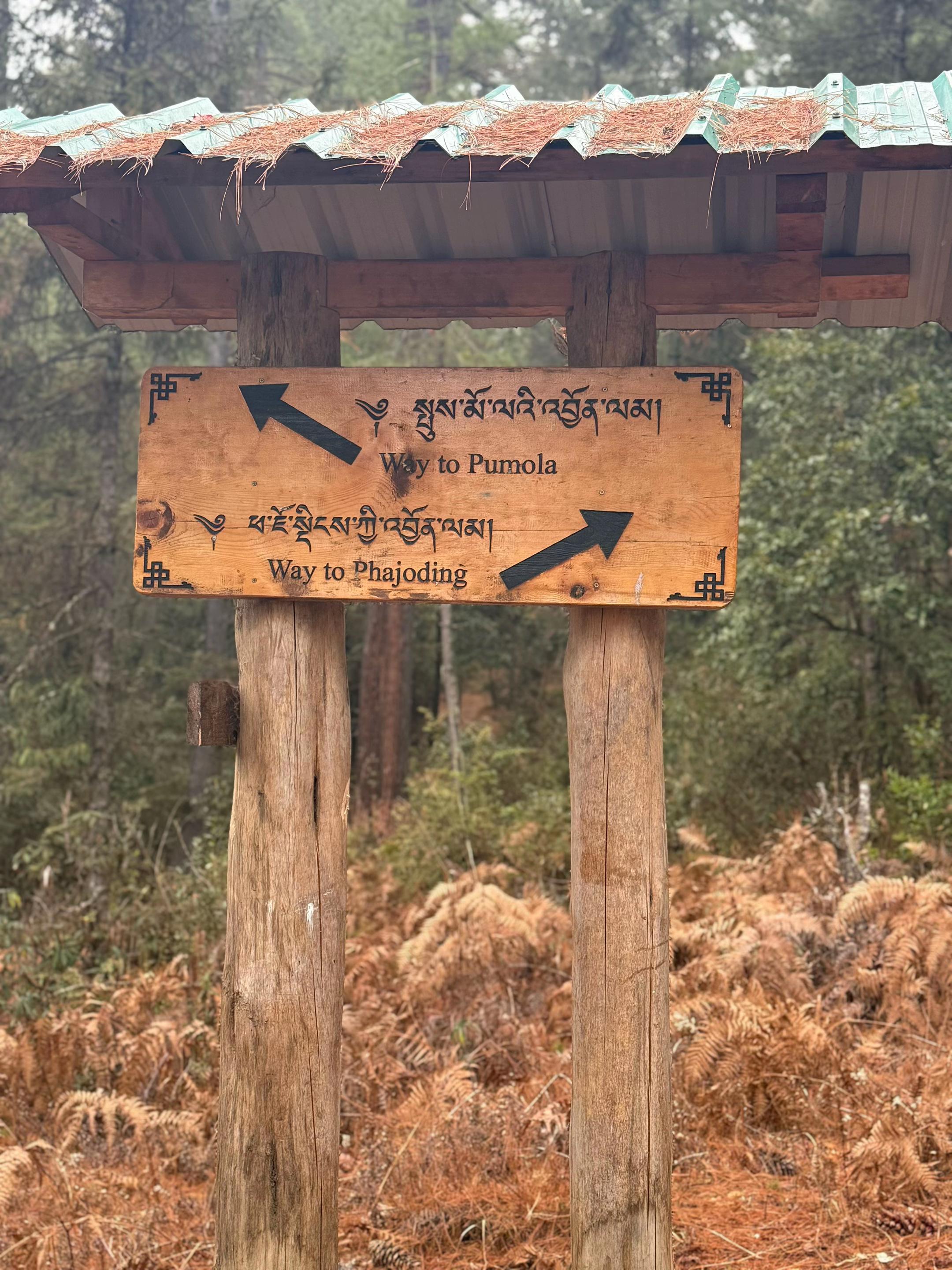 @Tshering🌷✨
