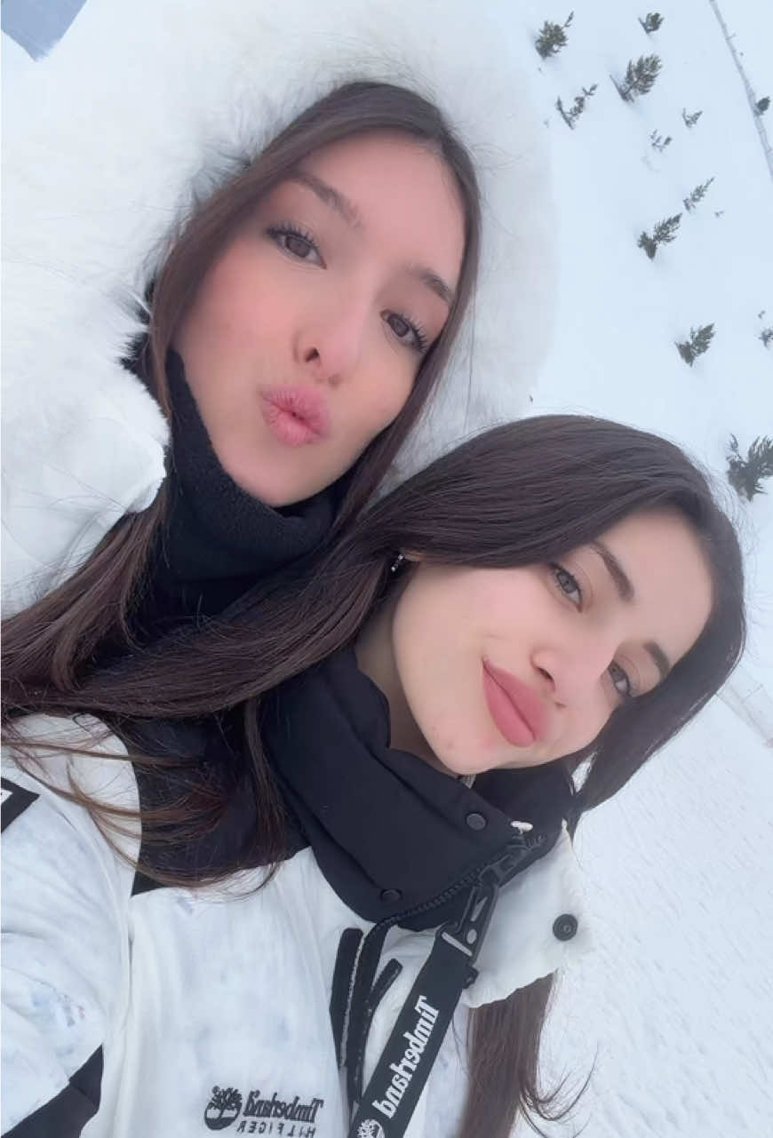 @mallouar