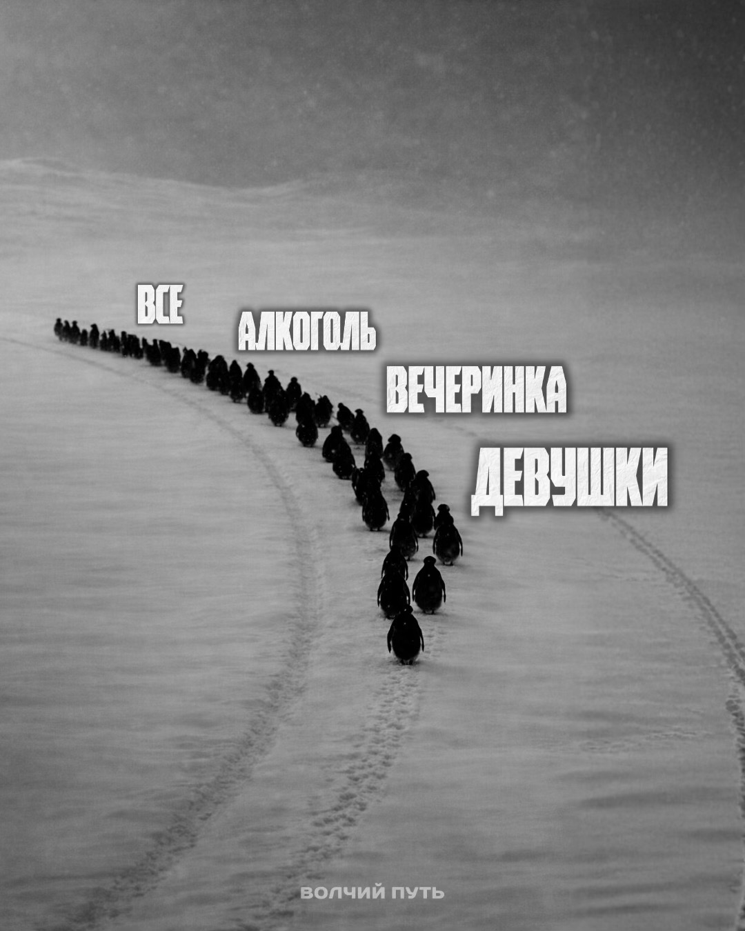 @Волчий Путь
