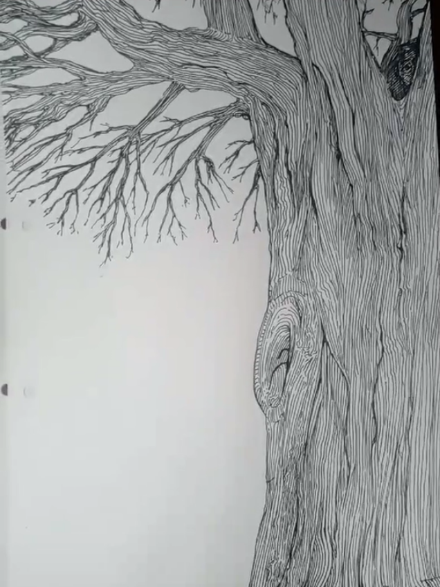 @damiandiaz