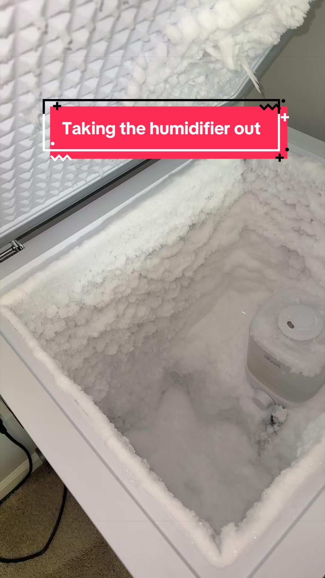 @❄️🥶 FreezerFreak 🥶❄️