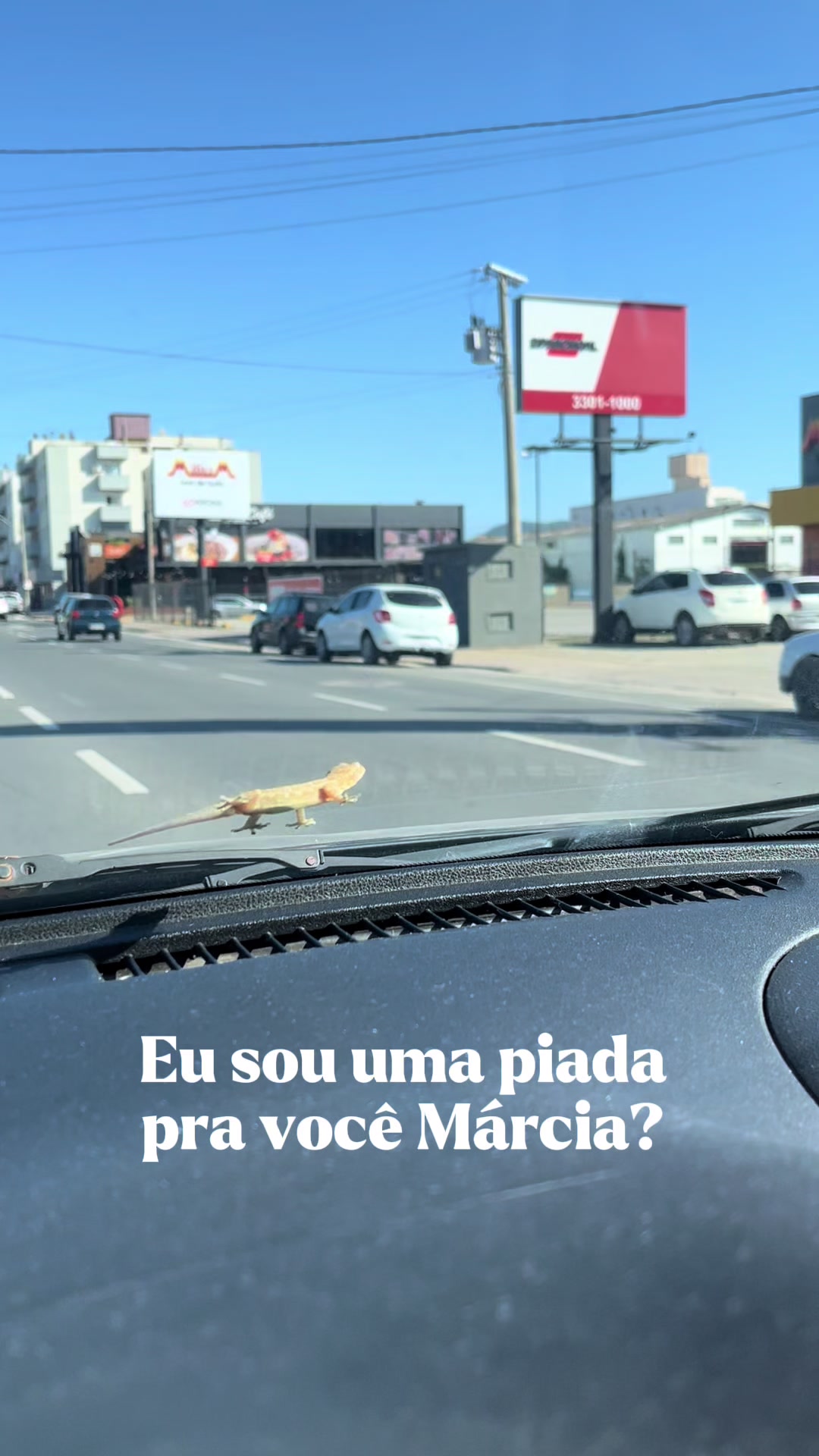 @taina.macedo_